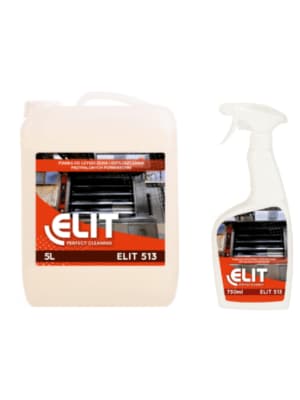 ELIT 513