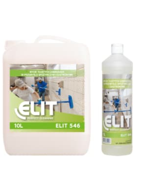 ELIT 546