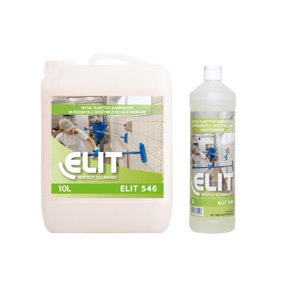 ELIT 546