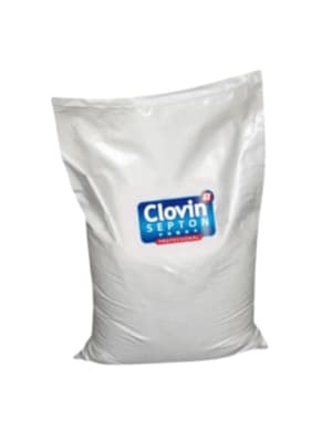 Clovin II Septon
