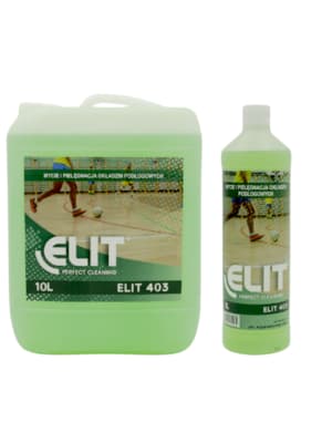 ELIT 403